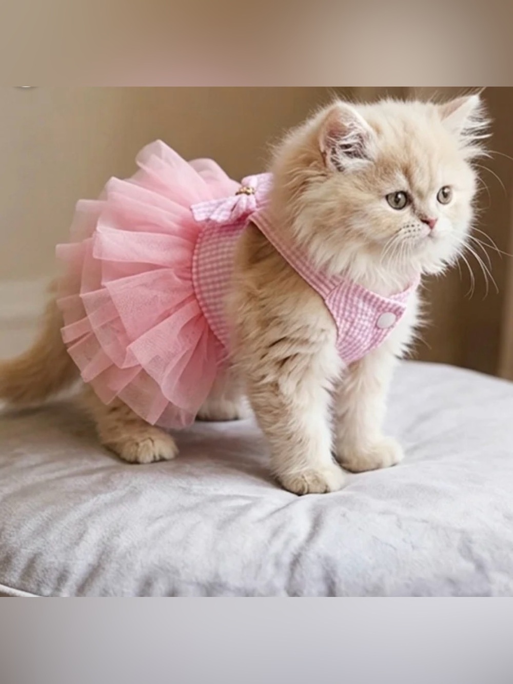Boutique Pink Tulle Ruffle Pet Dress with Bow - Picture 4 of 11